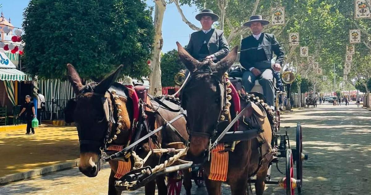 Feria de Séville : les indispensables pour une fête réussie ! Feria de Séville : les indispensables pour une fête réussie !