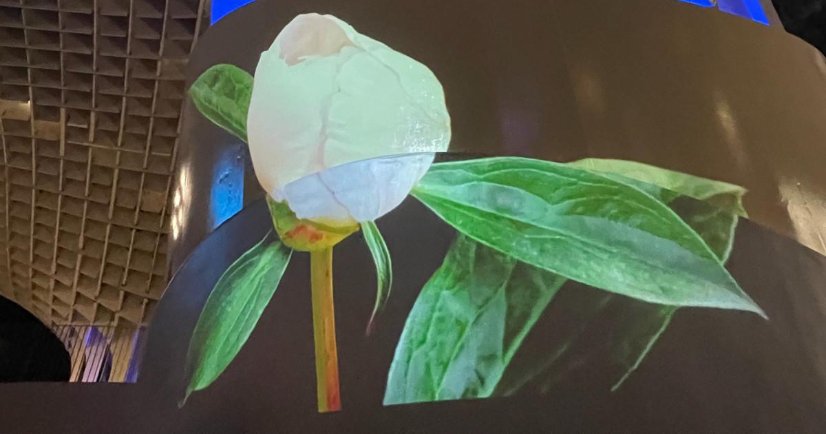 « Aurora » le spectacle de lumière qui habille « Las Setas » à Séville « Aurora » le spectacle de lumière qui habille « Las Setas » à Séville