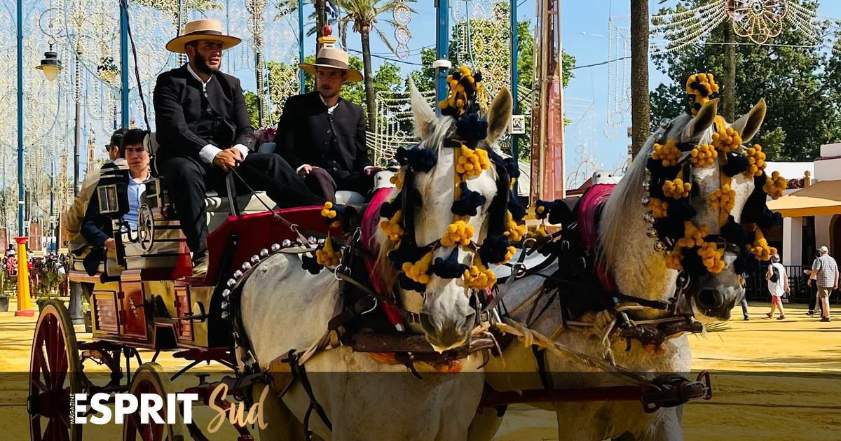 Jerez de la Frontera, la feria où le cheval est roi Jerez de la Frontera, la feria où le cheval est roi