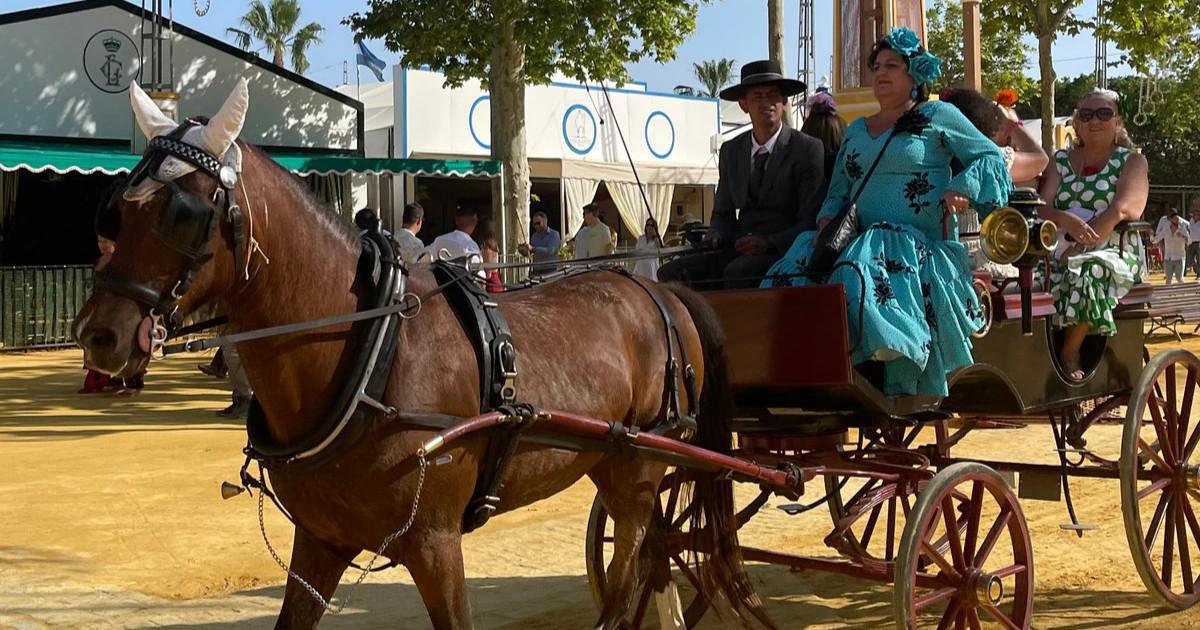 Jerez de la Frontera, la feria où le cheval est roi Jerez de la Frontera, la feria où le cheval est roi