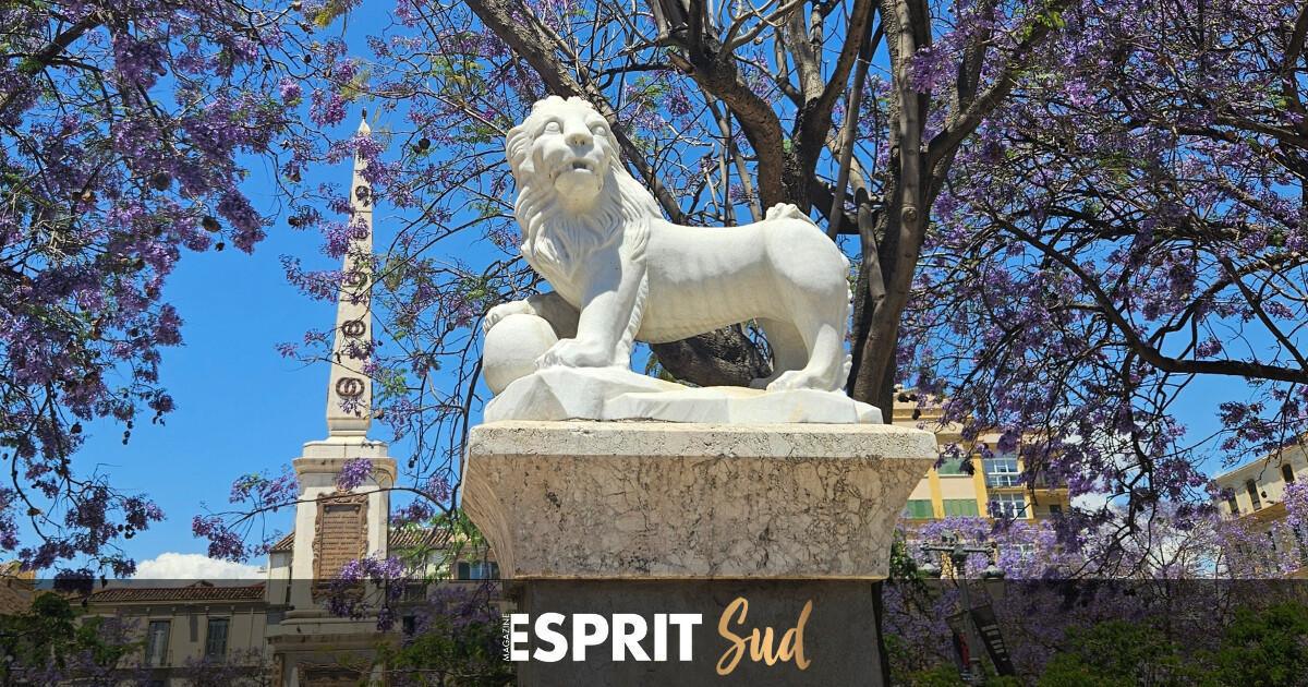 Sous le charme des jacarandas en fleur en Andalousie Sous le charme des jacarandas en fleur en Andalousie