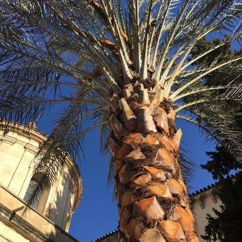 Partons à la découverte de Lucena Partons à la découverte de Lucena