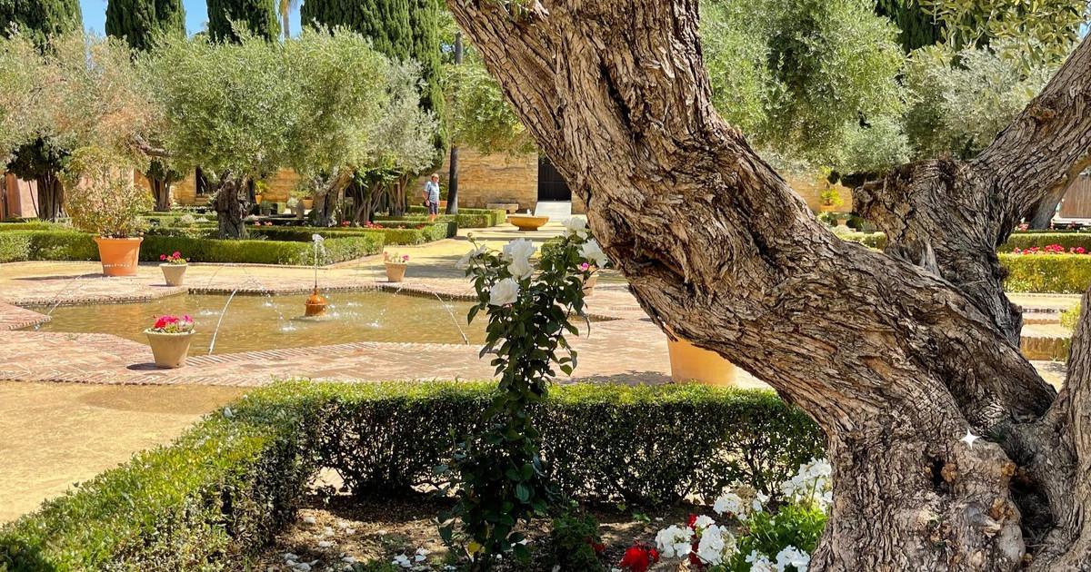 L’Alcazar de Jerez et ses mille et un secrets L’Alcazar de Jerez et ses mille et un secrets