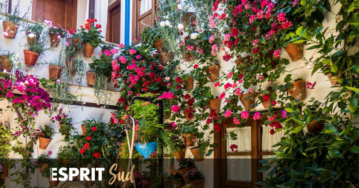 Les patios : un élément architectural incontournable en Andalousie Les patios : un élément architectural incontournable en Andalousie