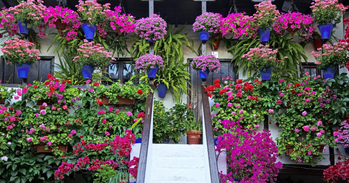 Les patios : un élément architectural incontournable en Andalousie 