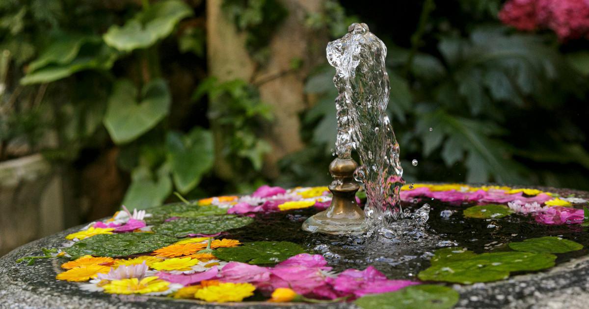 Les patios : un élément architectural incontournable en Andalousie Les patios : un élément architectural incontournable en Andalousie