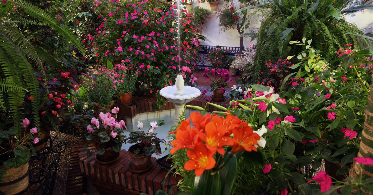 Les patios : un élément architectural incontournable en Andalousie Les patios : un élément architectural incontournable en Andalousie