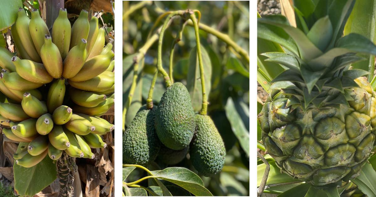 Escapade à La Herradura Escapade à La Herradura