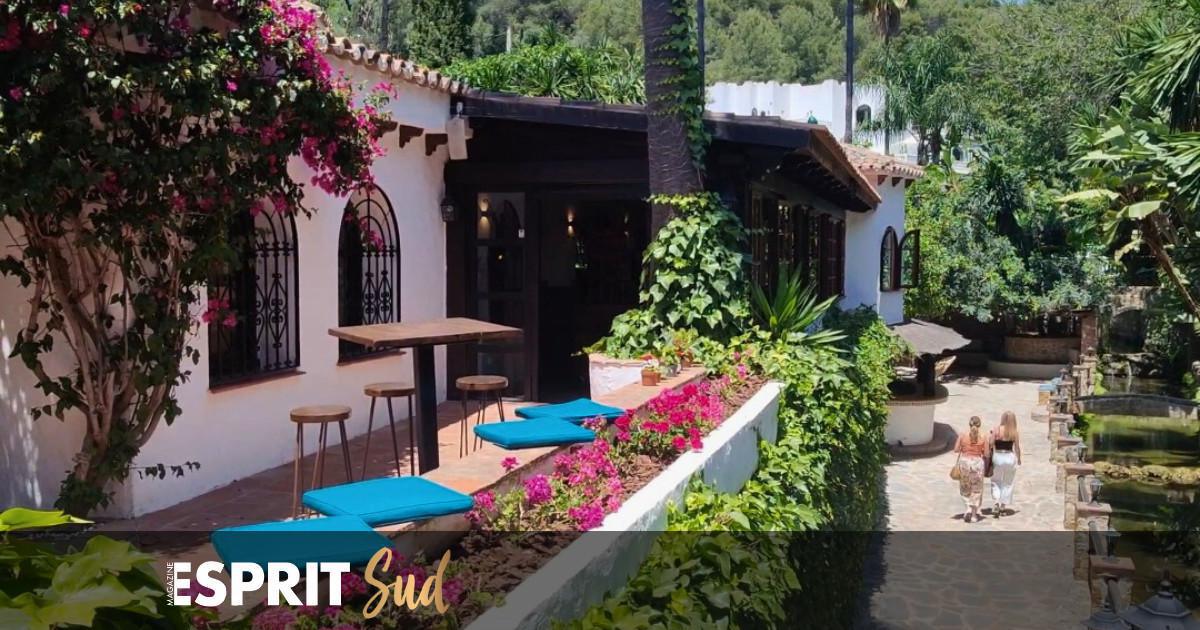 Une expérience culinaire unique à la Cascada Cocina , Marbella Une expérience culinaire unique à la Cascada Cocina , Marbella