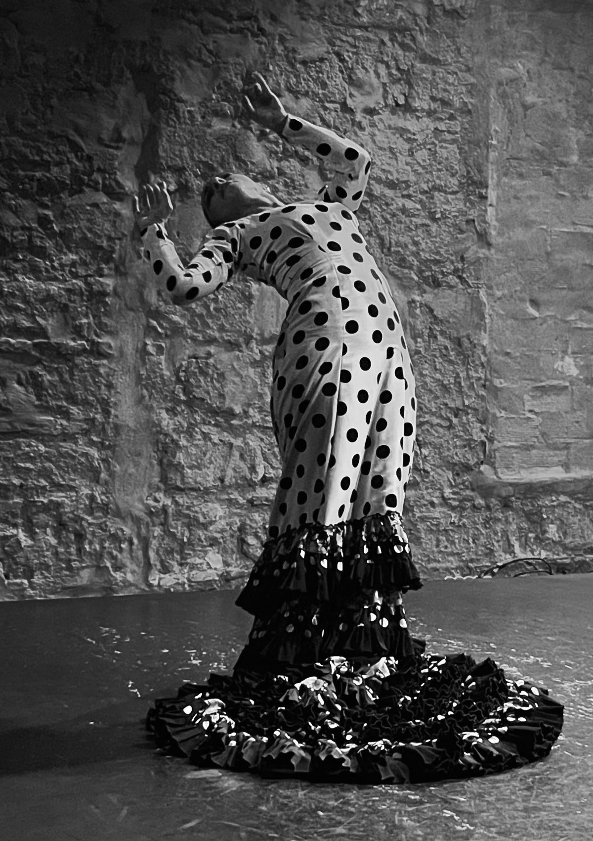 Flamenco, la passion vivante Flamenco, la passion vivante