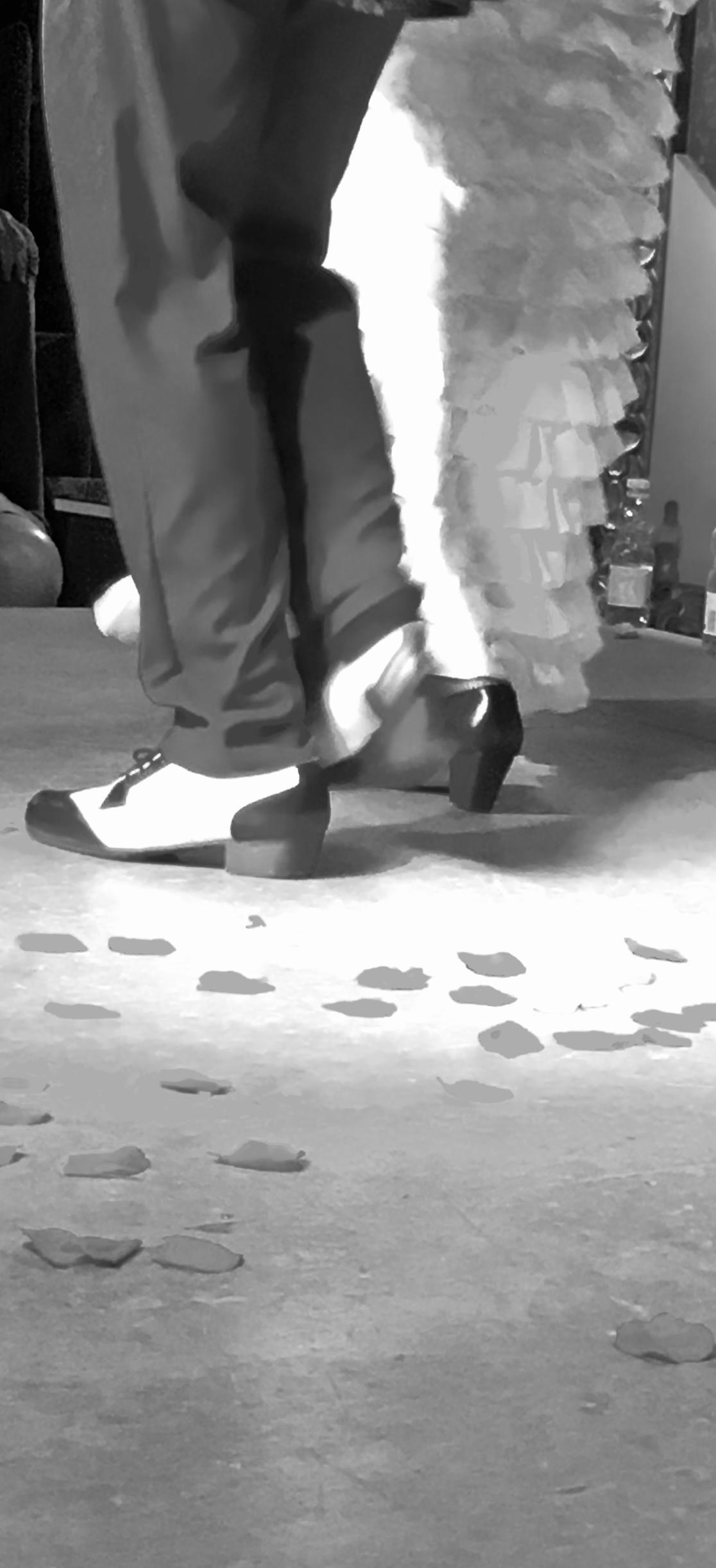 Flamenco, la passion vivante Flamenco, la passion vivante