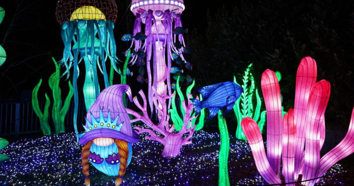 Málaga en lumière, à la découverte des festivités de Noël! Málaga en lumière, à la découverte des festivités de Noël!