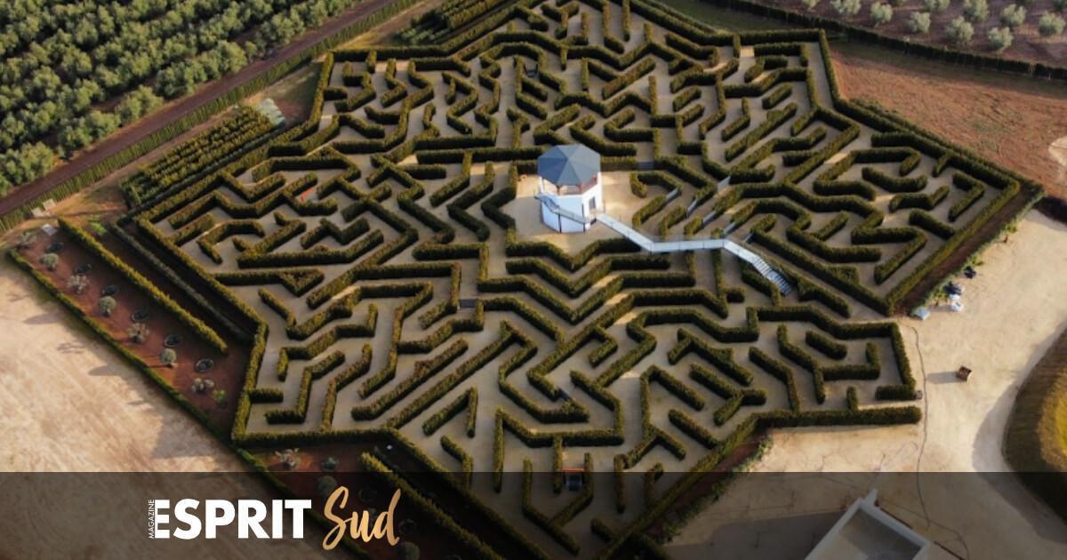 Humilladero inaugure le premier labyrinthe biotechnologique au monde, inspiré de l’Alhambra!  Humilladero inaugure le premier labyrinthe biotechnologique au monde, inspiré de l’Alhambra!