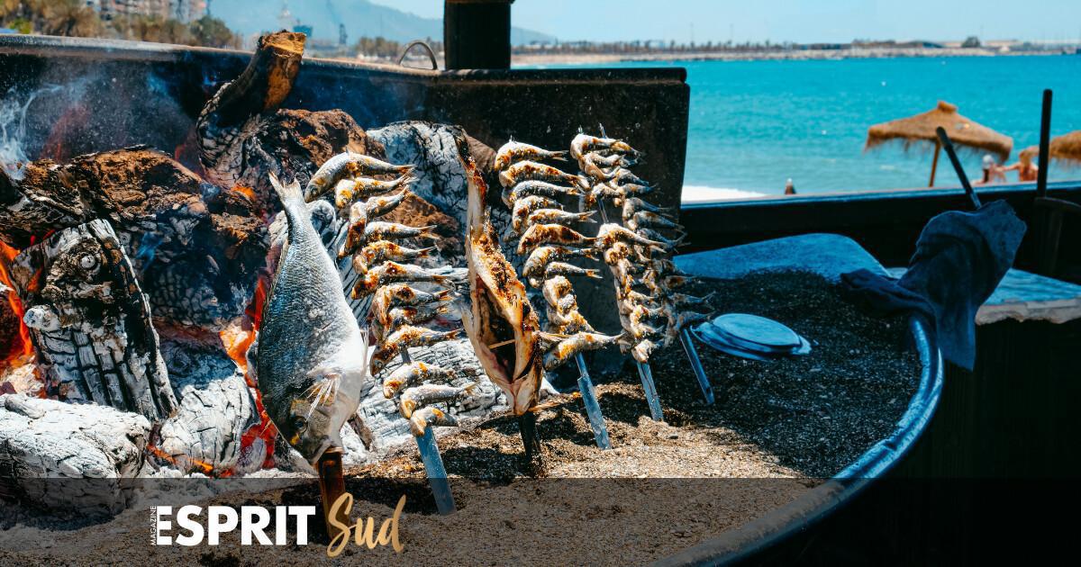 Les huit meilleures adresses pour déguster les espetos de sardinas à Malaga
