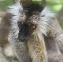 Fuengirola Fuengirola