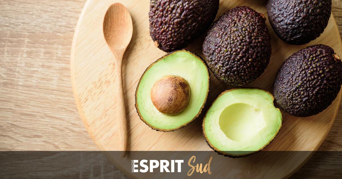 Avocat, l’or vert de l’Axarquía : nouvelles recettes et inspirations culinaires de Malaga
