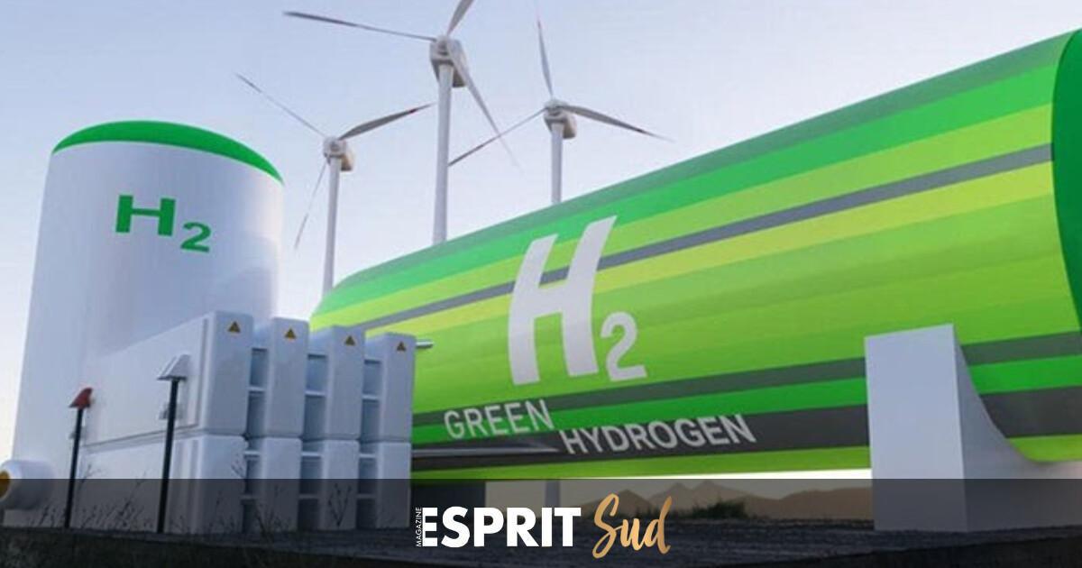 Malaga se branche à l’hydrogène vert : Antequera en première ligne de la transition énergétique
