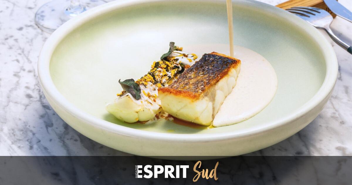 Boho Club x Cervezas Victoria pour un été sous le signe des saveurs malagueñas Boho Club x Cervezas Victoria pour un été sous le signe des saveurs malagueñas