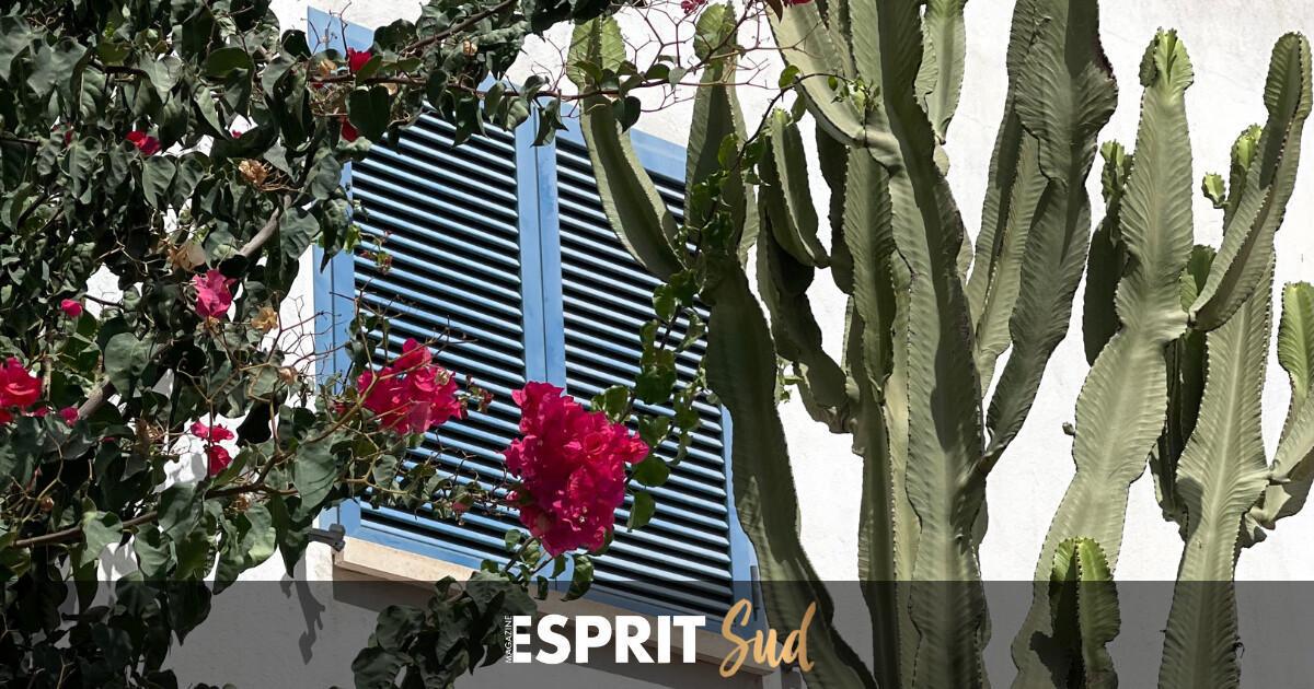 Agua Amarga, un paradis de simplicité Agua Amarga, un paradis de simplicité