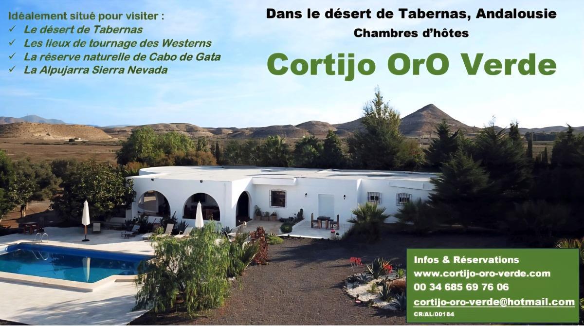 Cortijo Oro Verde : un coin de paradis entre désert et oliveraies