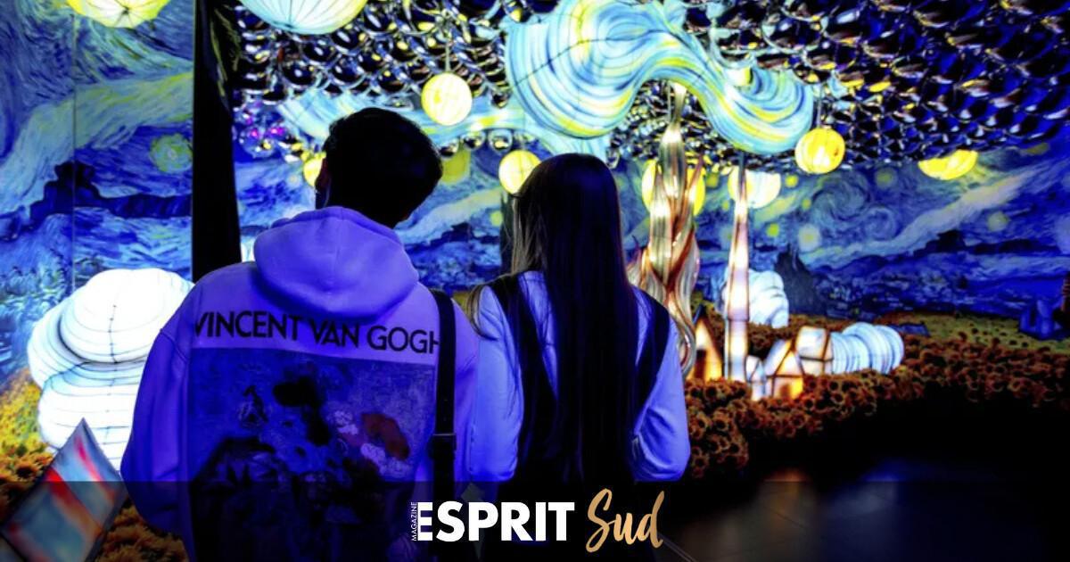 « Van Gogh, Grandes Éxitos », l’immersion totale « Van Gogh, Grandes Éxitos », l’immersion totale