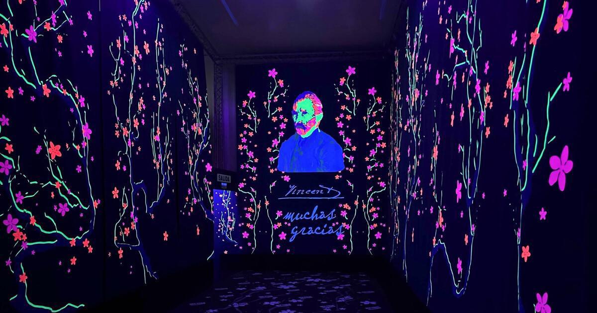 « Van Gogh, Grandes Éxitos », l’immersion totale « Van Gogh, Grandes Éxitos », l’immersion totale