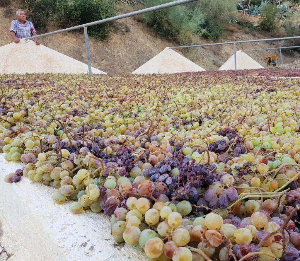 À la découverte des ferias gastronomiques À la découverte des ferias gastronomiques