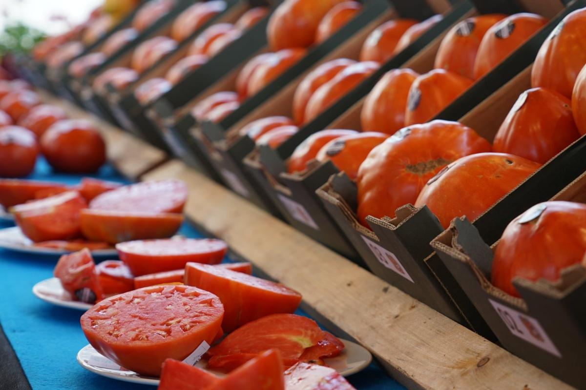 À la découverte des ferias gastronomiques