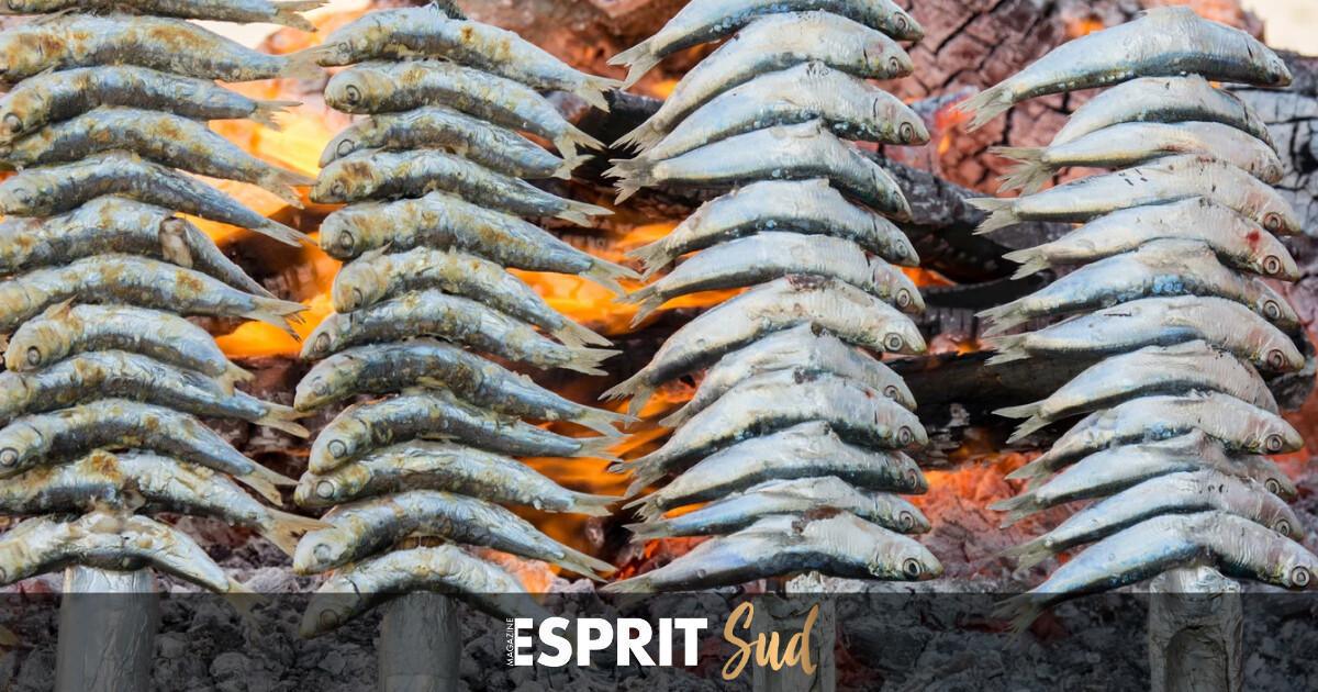 À la découverte des ferias gastronomiques