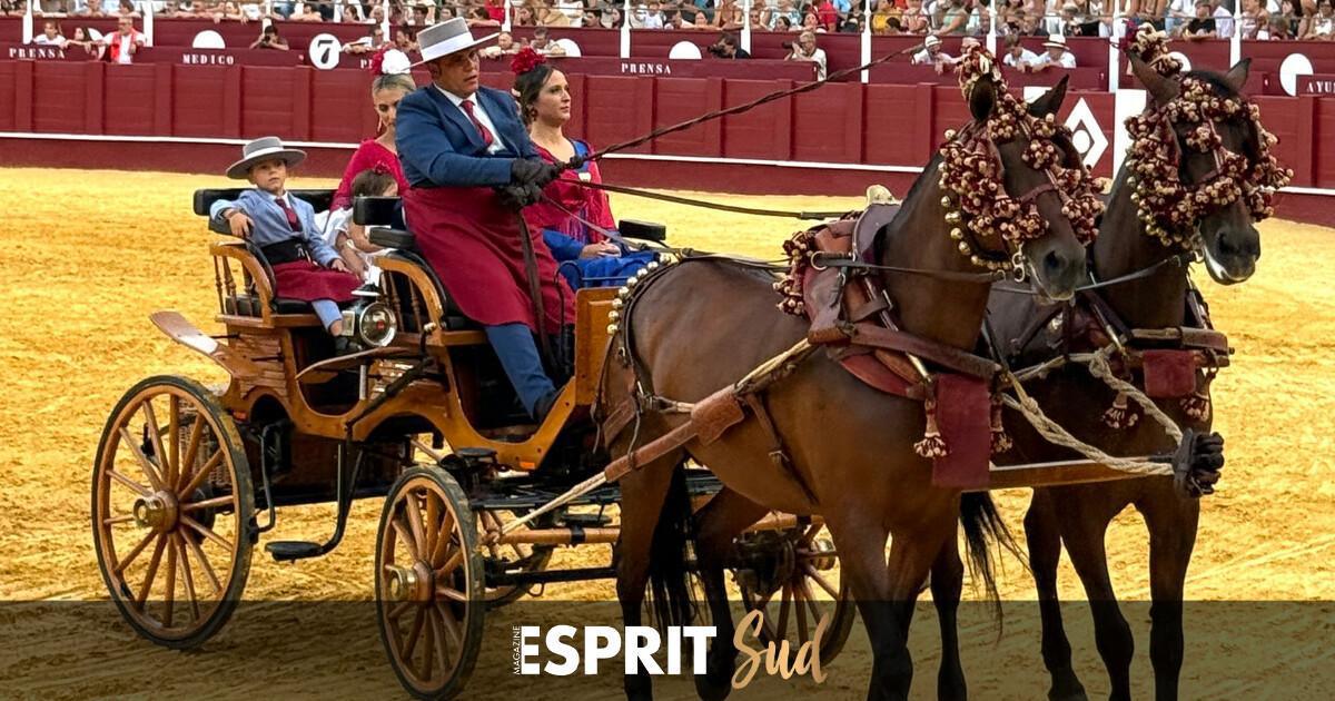 Les arènes de Malaga en fête avec chevaux et attelages!