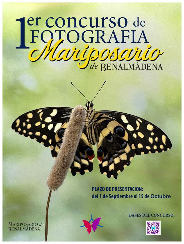 Un concours photo au cœur du Mariposario de Benalmádena