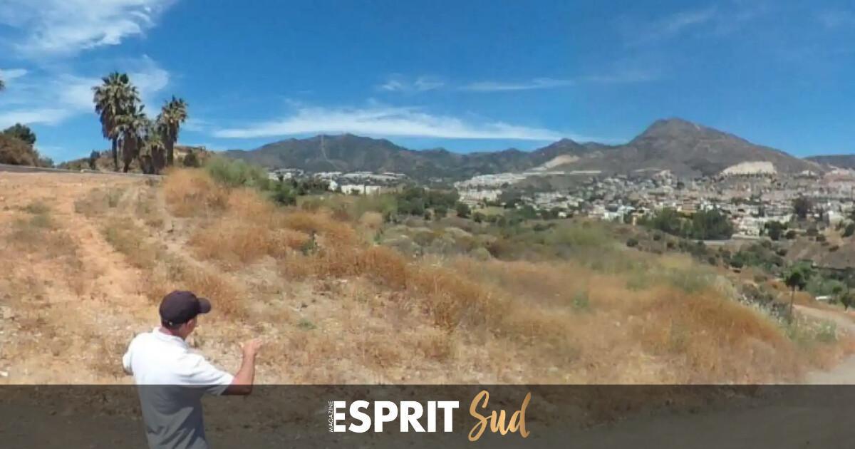 Benalmádena donne vie à son « grand poumon vert », le parc Ibn al-Baytar ! Benalmádena donne vie à son « grand poumon vert », le parc Ibn al-Baytar !