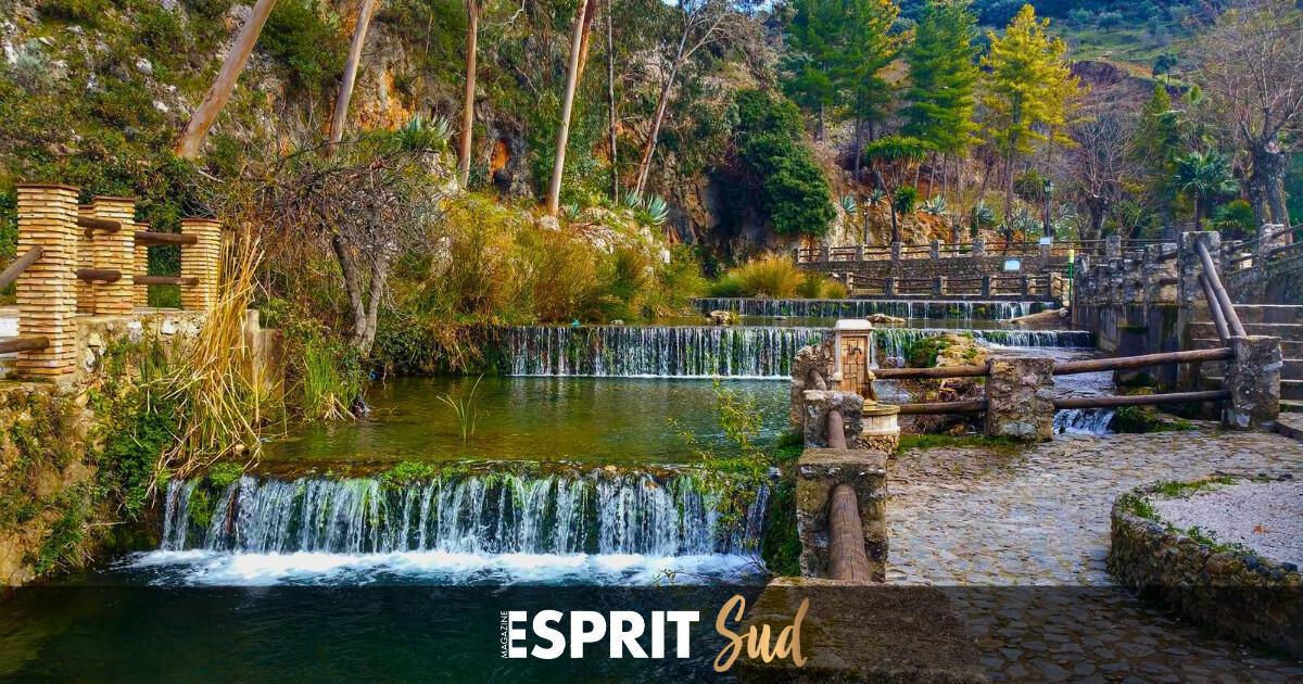 La Valle del Guadiaro vous attend La Valle del Guadiaro vous attend