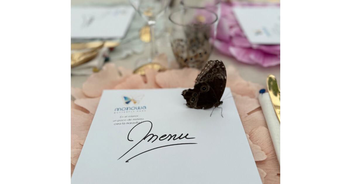 Esprit Sud présente le concept innovant INSTANT Esprit Sud présente le concept innovant INSTANT