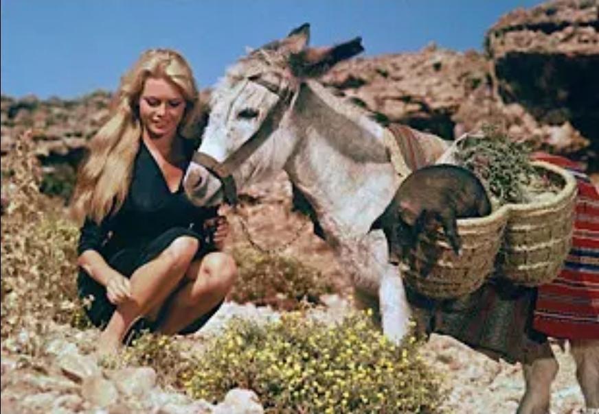 Brigitte Bardot, cette icône qui a participé à rendre la Costa del Sol célèbre! Brigitte Bardot, cette icône qui a participé à rendre la Costa del Sol célèbre!