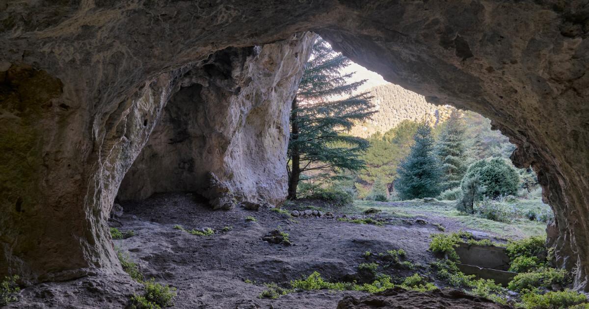 Yunquera, le village où l’hiver chante entre les « pinsapos de la Sierra de las Nieves
