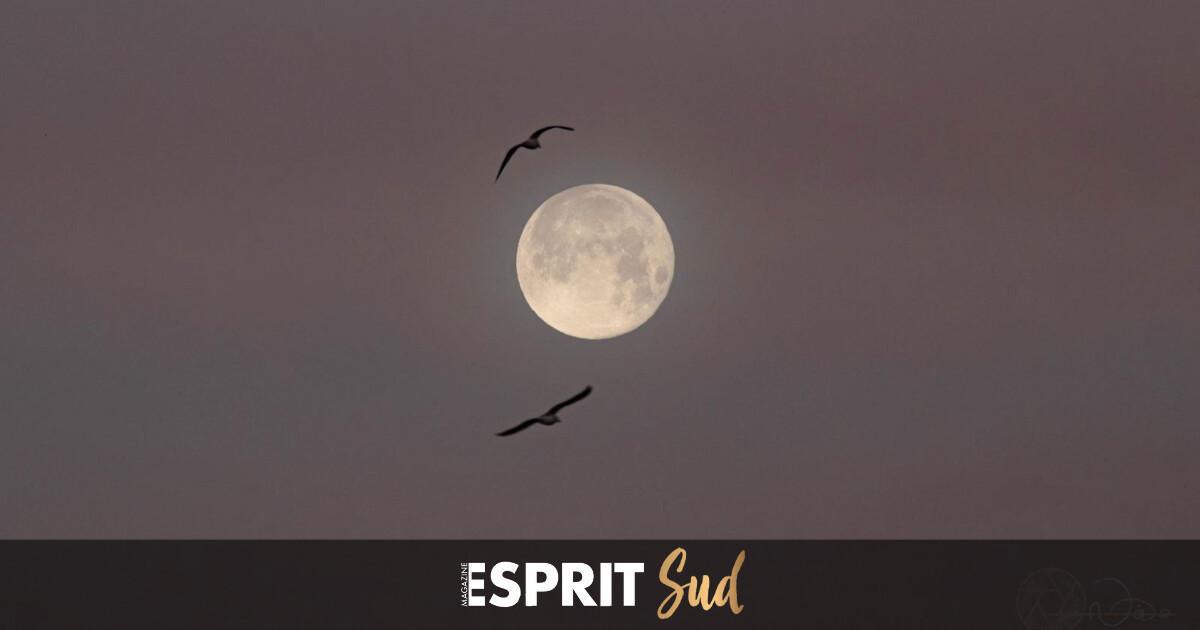 La “Lune de Neige” arrive pour un rendez-vous magique! 