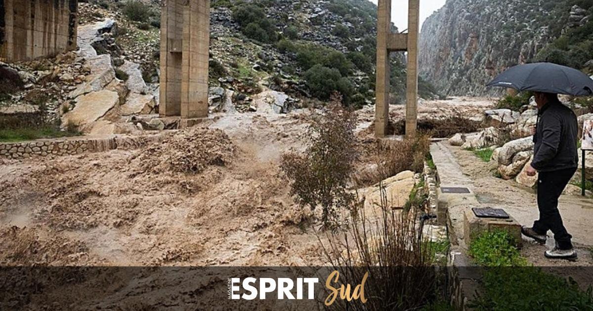 Passage de la tempête Leonardo, quelle est la situation actuelle à Málaga et en Andalousie ? 