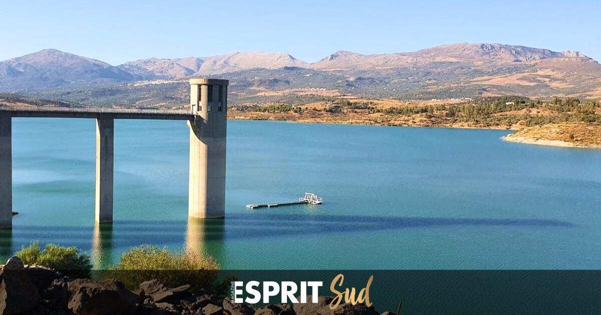 Quand l’eau revient… Chronique d’une renaissance andalouse ! 