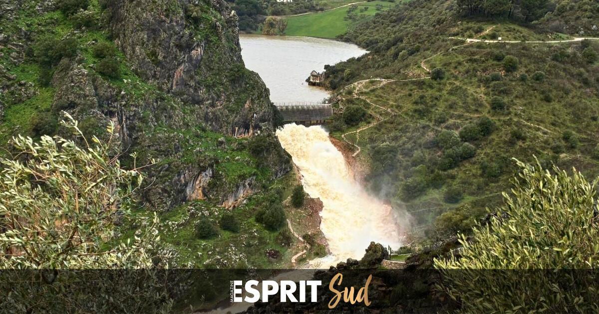 La vieille dame s’est réveillée avec les pluies amenées par la tempête Oriana