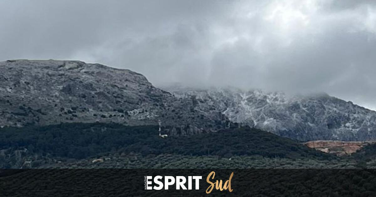 Quand la neige revient sur les reliefs de Málaga, une nouvelle journée hivernale au cœur de la Costa del Sol Quand la neige revient sur les reliefs de Málaga, une nouvelle journée hivernale au cœur de la Costa del Sol