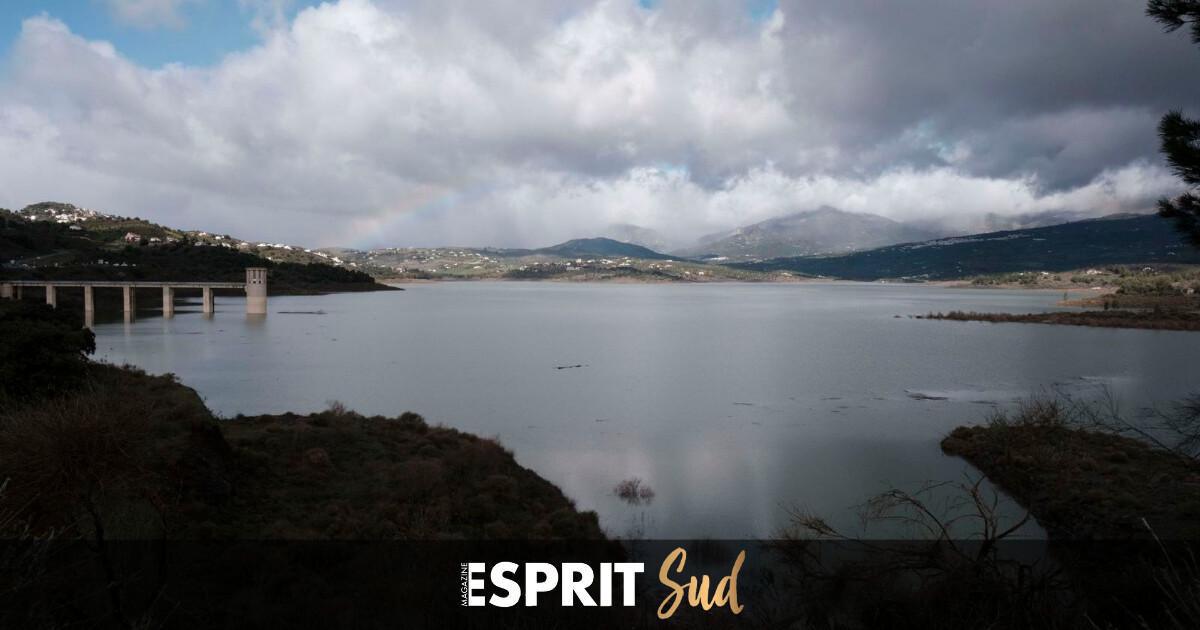 Le stress hydrique et les conséquences de l’hiver