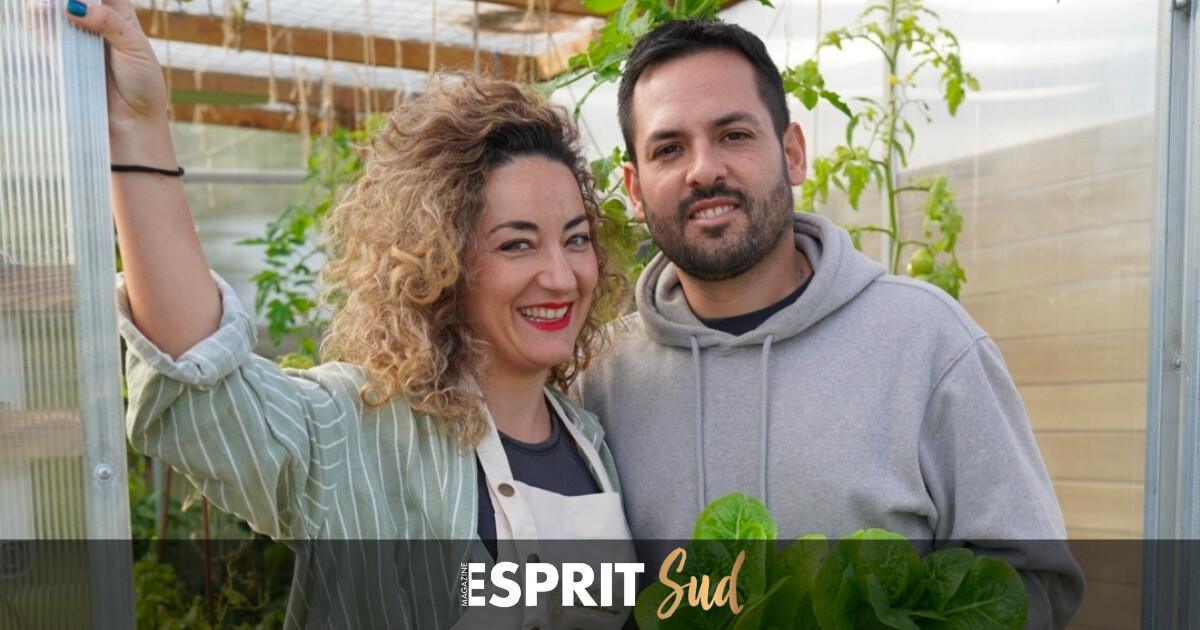 Focus sur l’aquaponie, les poissons et les plantes réinventent notre façon de produire en Andalousie Focus sur l’aquaponie, les poissons et les plantes réinventent notre façon de produire en Andalousie