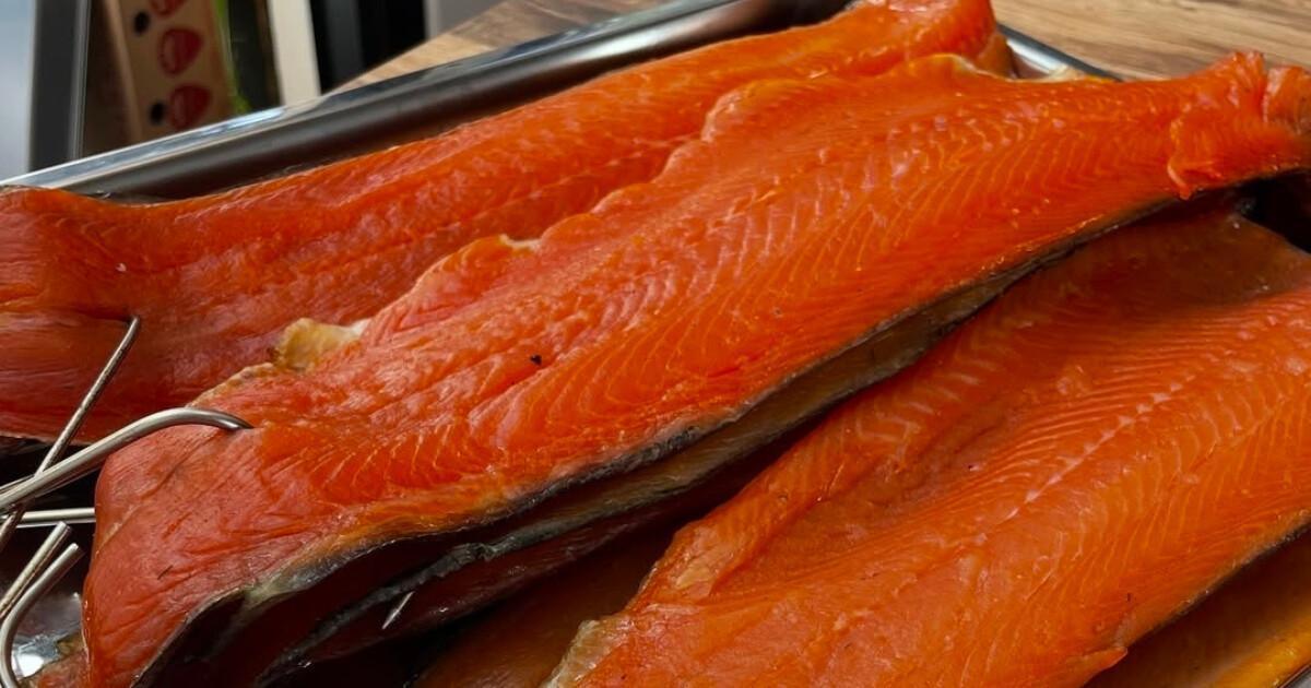 Focus sur l’aquaponie, les poissons et les plantes réinventent notre façon de produire en Andalousie Focus sur l’aquaponie, les poissons et les plantes réinventent notre façon de produire en Andalousie