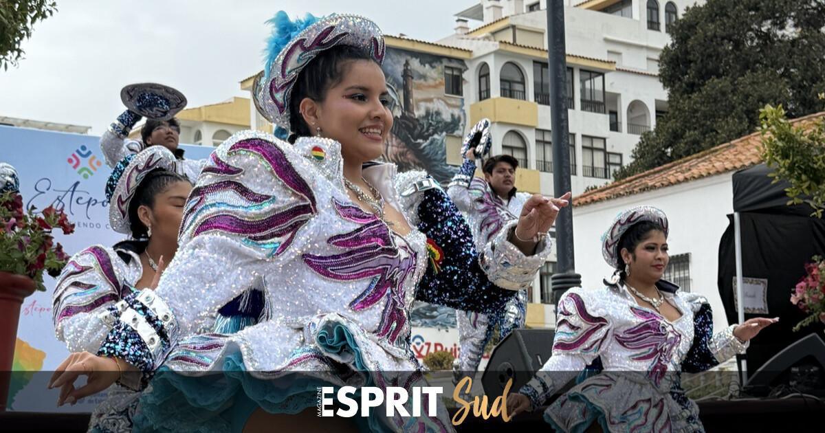 Estepona célèbre sa large communauté cosmopolite lors d’une journée magique !