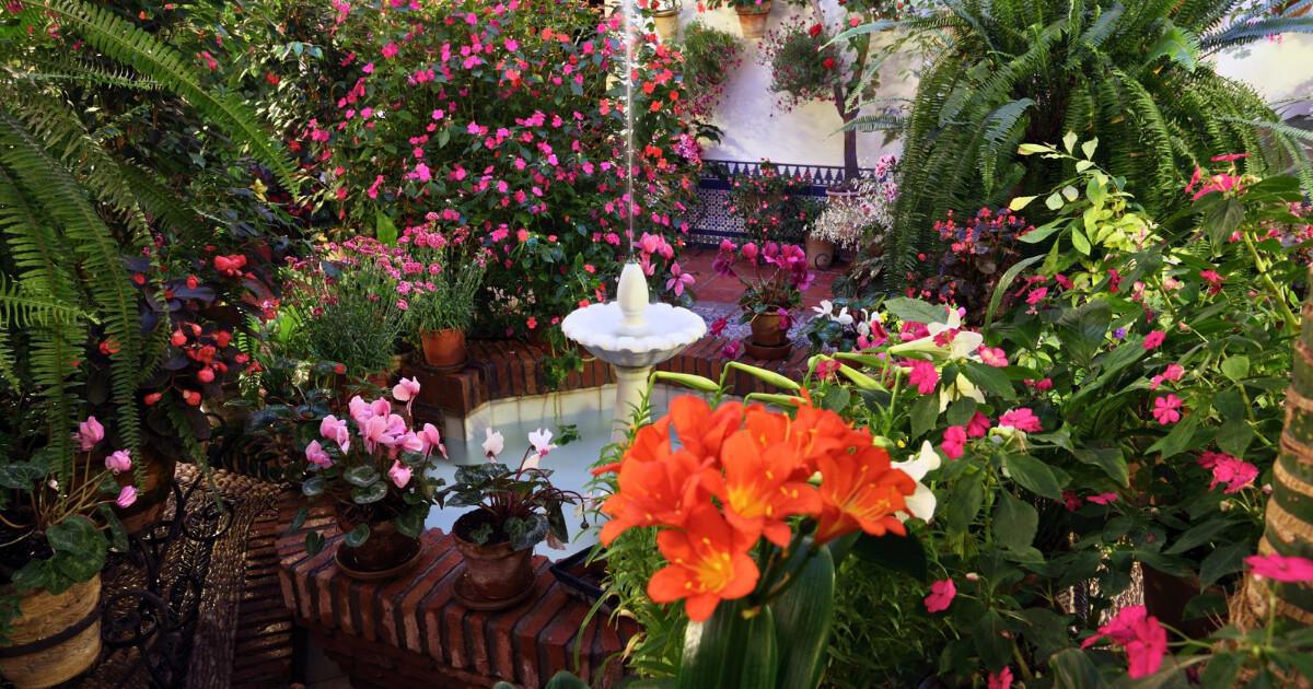 Les patios de Córdoba, quand l’Andalousie ouvre ses portes au monde