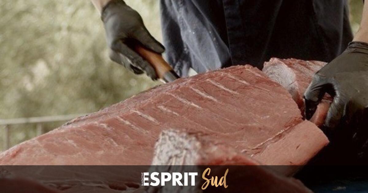 Le ronqueo, l'un des spectacles gastronomiques les plus fascinants d'Andalousie