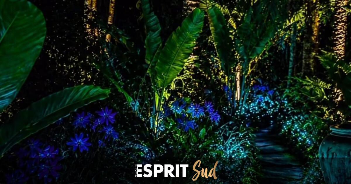 Quand la nuit révèle sa magie au Monowa de Benalmádena Quand la nuit révèle sa magie au Monowa de Benalmádena