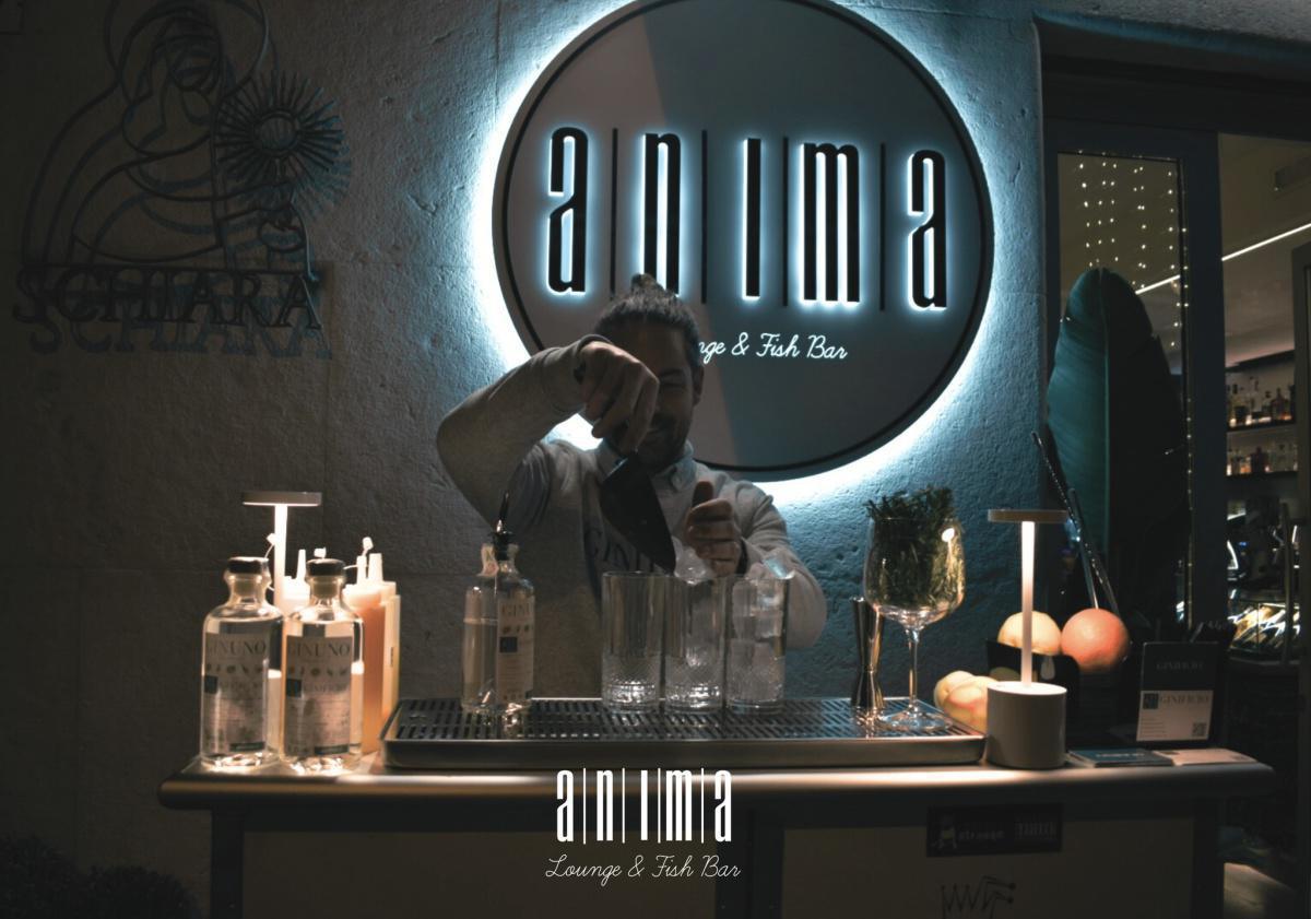 Anima Lounge & Fish bar
