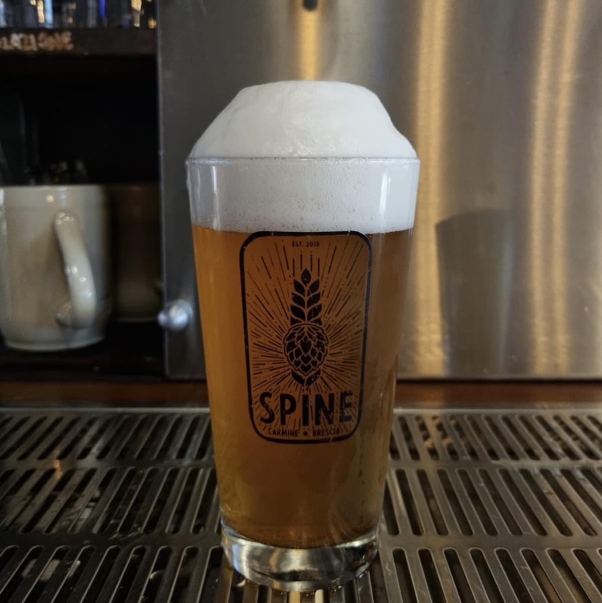 Spine